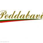 Mr Peddabavi VenuGopal    Reddy Profile Picture
