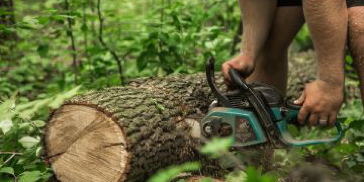Preventing Tree Removal: Effective Tree Care Practices