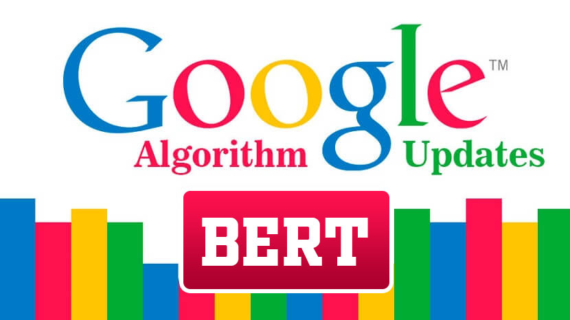 BERT Algorithm Update, Factors and Recovery