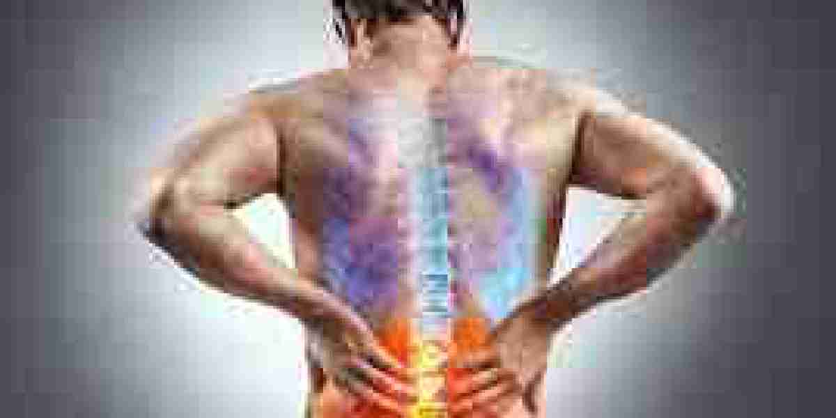Ayurvedic Medicine for Chronic Spinal Pain: Current Trends and Future Directions