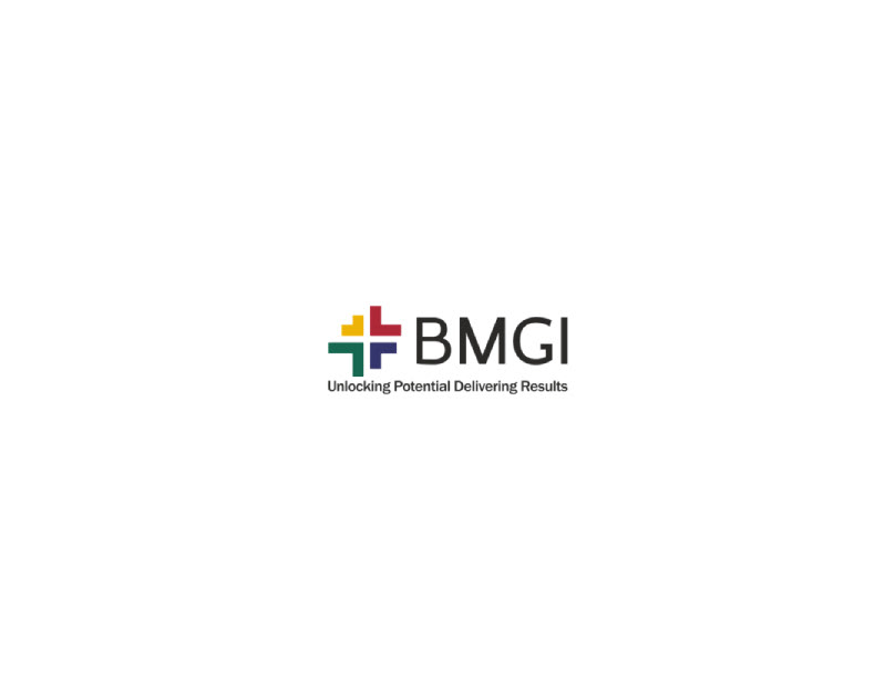 Top Strategy Consulting Partner in India: BMGI India