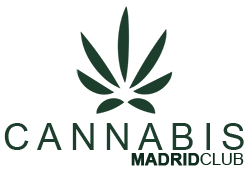 Explore Madrid's Best Cannabis Club | Cannabis Madrid Club