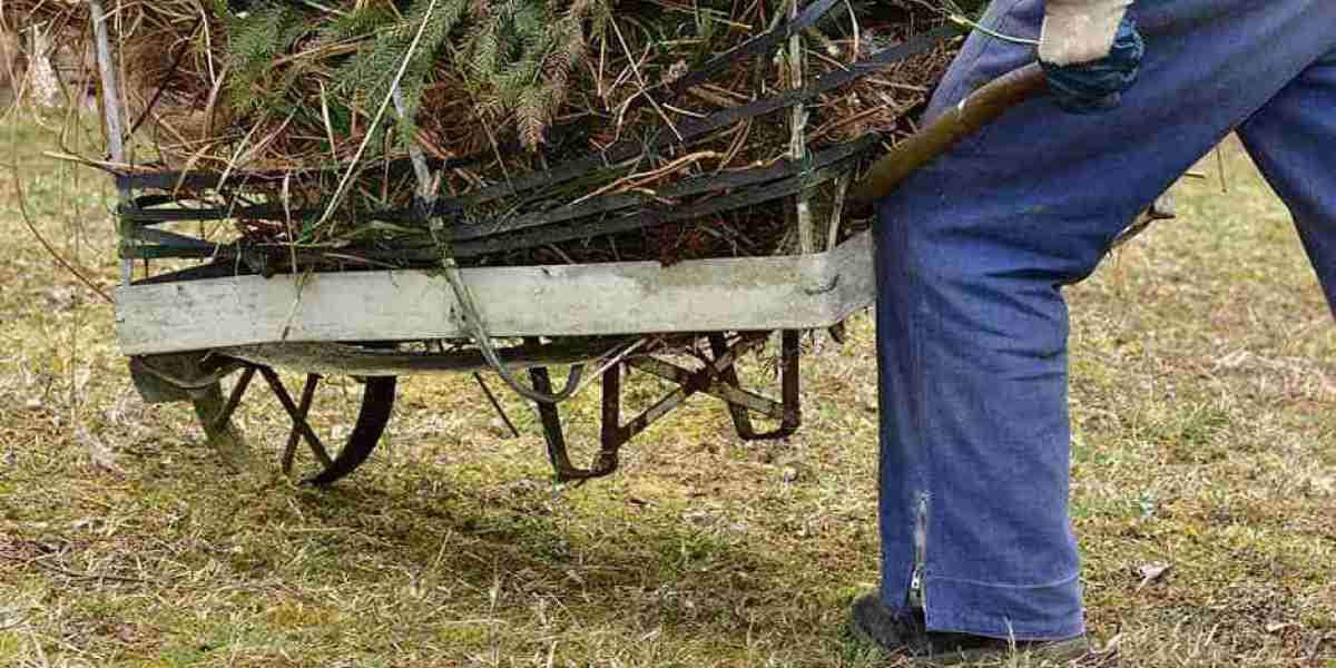 How do you find the right tree cutting service?