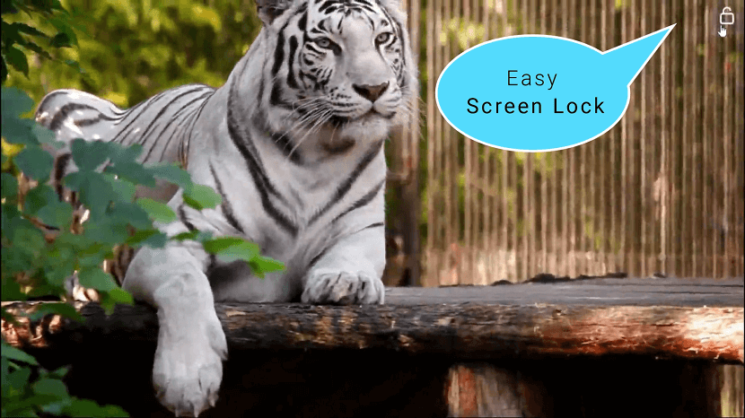 Seamless Video Playback with Screen Touch Lock