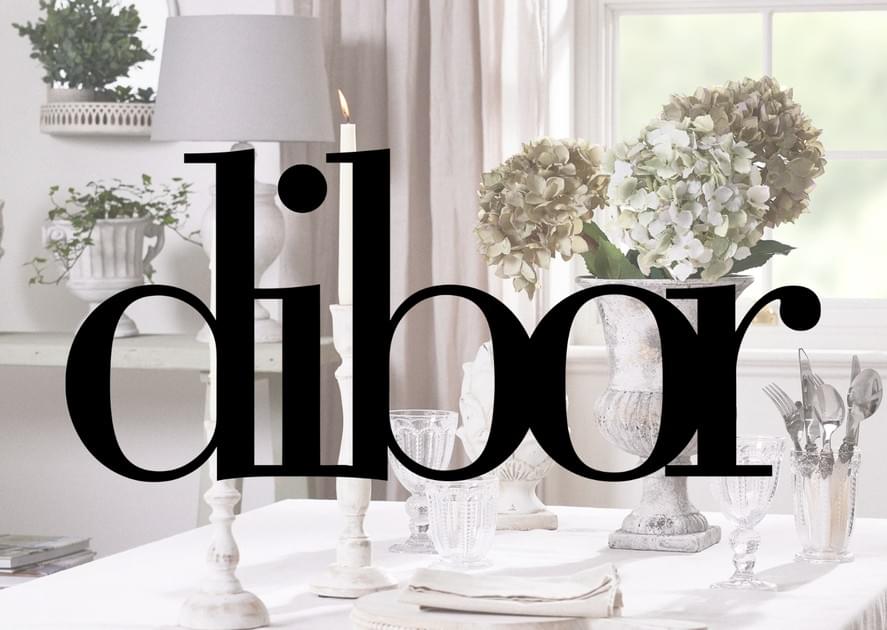 Enhance Your Home with Dibor: UK's Best Picks on Strikingly