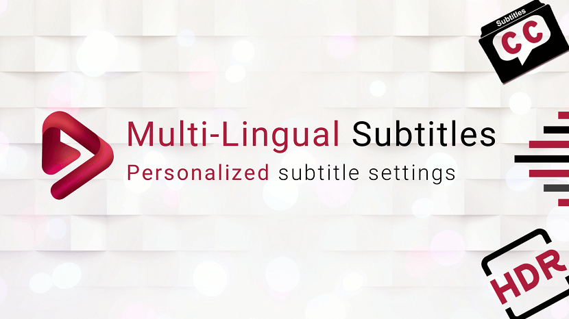 Subtitles in Multiple Languages