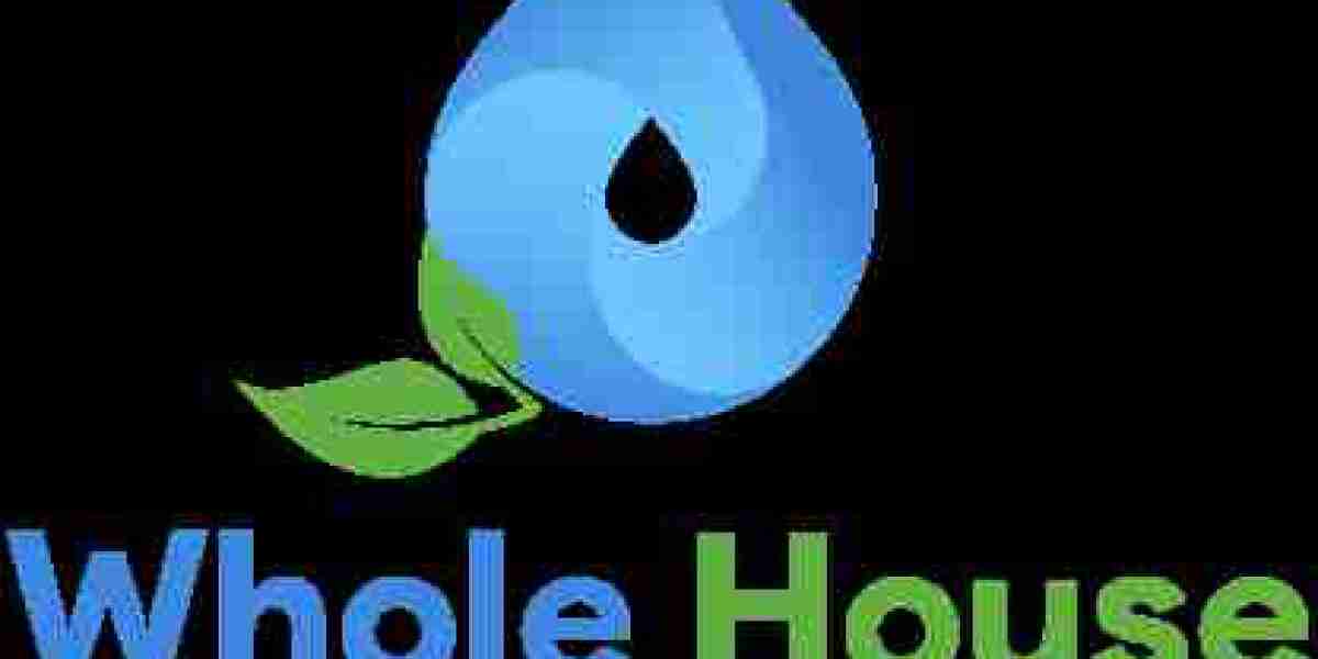 Whole House Water Filter System for Dubai: Elevating Water Quality in the Heart of the UAE