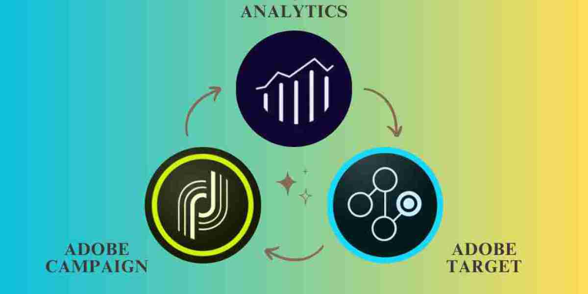 Mastering Digital Analytics: How Adobe Tools Enhance Data Skills
