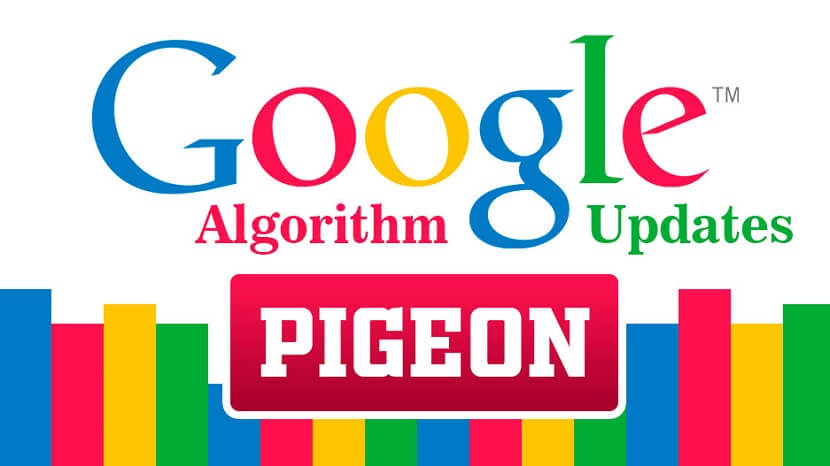 Pigeon Algorithm Update, Factors and Recovery