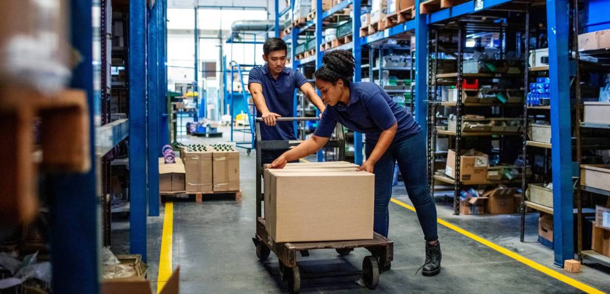 Revolutionizing Material Handling: The Role of Trolleys and the Versatility of Bolt Castors – Covering All Things