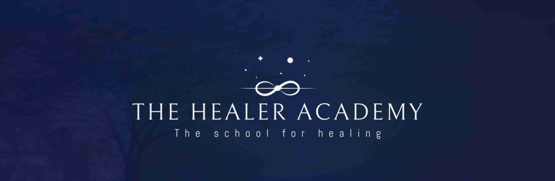 The Healer Academy Cover Image