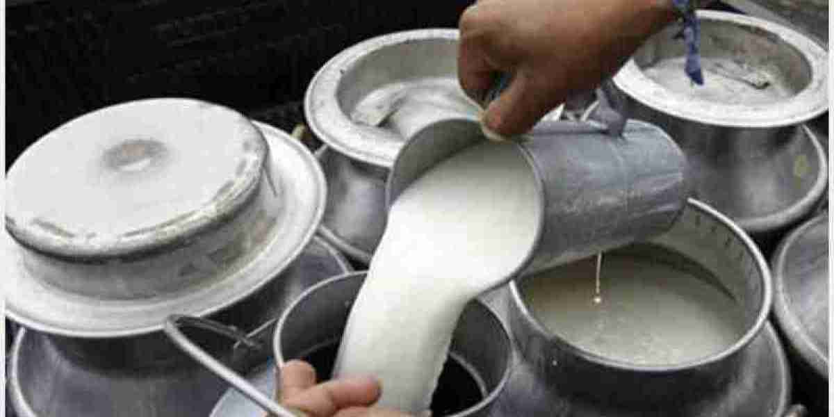 Dairy Milk News: Concerns Rise Amid Cow Disease Outbreak in Rajasthan
