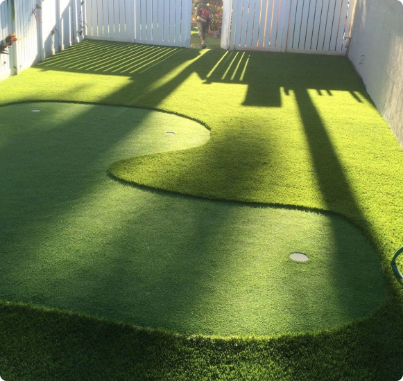 Auzzie Turf’s Premium Fake Grass Solutions in Sunshine Coast – Site Title