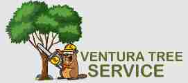 Ventura Tree Service Profile Picture