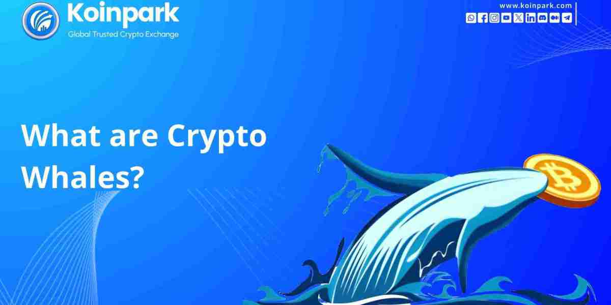 What are Crypto Whales?