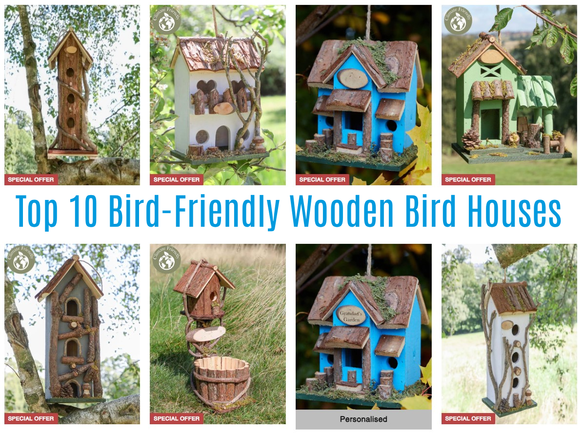 Top 10 Bird-Friendly Garden Bird Houses | by Dibor | Jun, 2024 | Medium