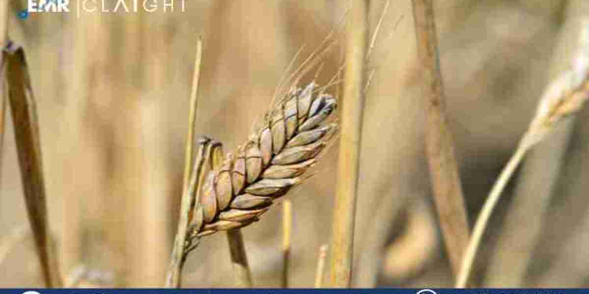 Analyzing Durum Wheat Price Trends: A Detailed Report