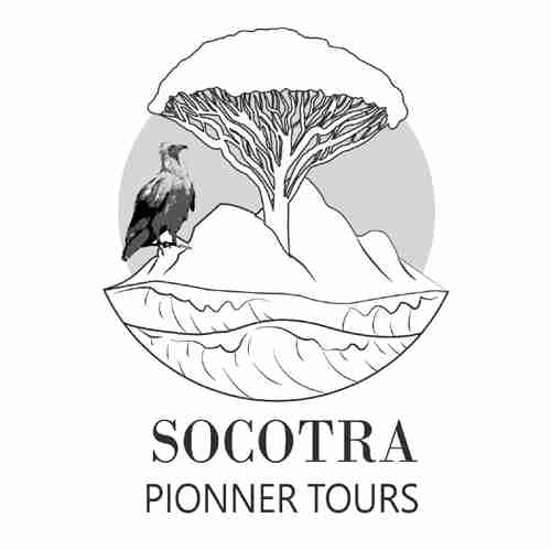 Socotra Pioneer Tours Profile Picture