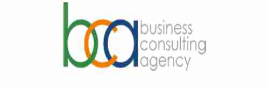 Business Consulting Agency Cover Image