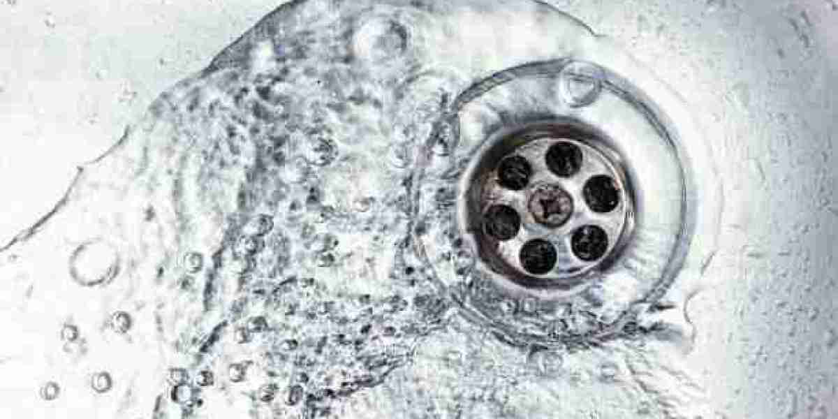 Healthy Drains, Happy Home: Burton’s Guide to Drain Maintenance