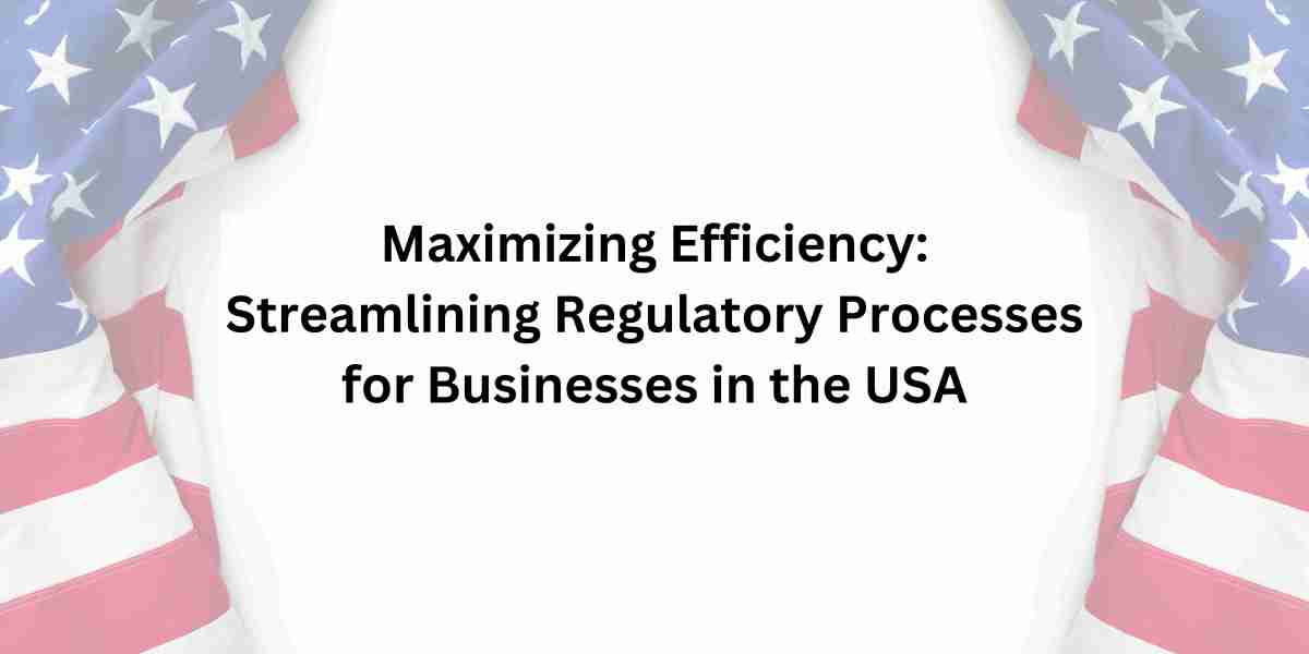 Maximizing Efficiency: Streamlining Regulatory Processes for Businesses in the USA