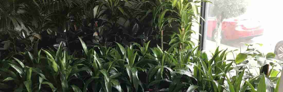 Luwasa Indoor Plant Hire Cover Image