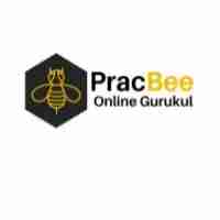 Pracbee bee Profile Picture