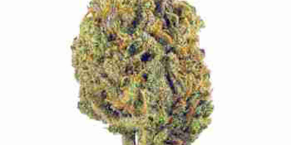 Discover the Benefits of the Super Lemon Haze Strain