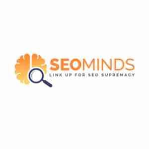 Seo Minds Profile Picture