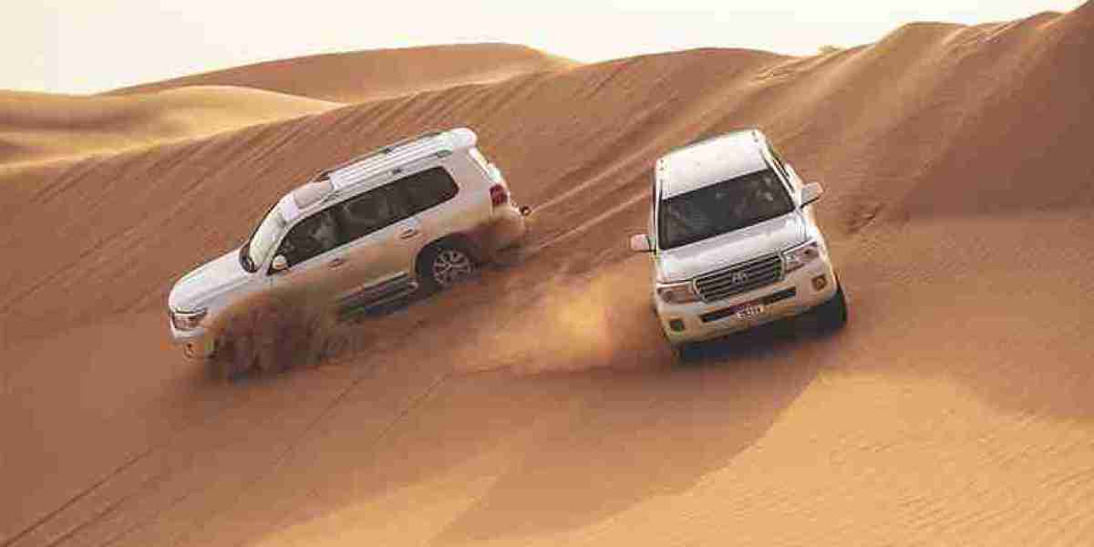 The Peaceful Side of a Morning Desert Safari in Abu Dhabi