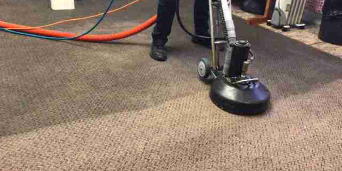 Can Queenstown Carpet Cleaning Get Rid of Dog and Cat Urine?