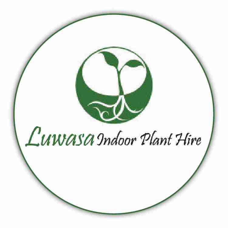 Luwasa Indoor Plant Hire Profile Picture