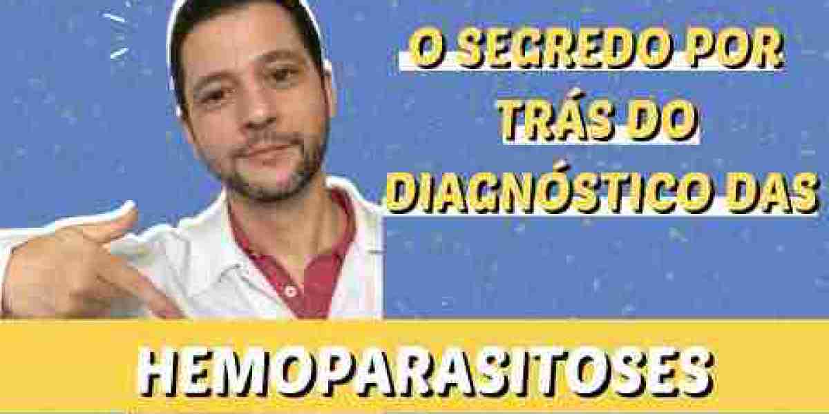 O Exame ACTH em Cães: Entenda sua Importância para a Saúde Pet