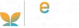 Best Pain Specialists in Ahmedabad - Nexus Advanced Pain Management