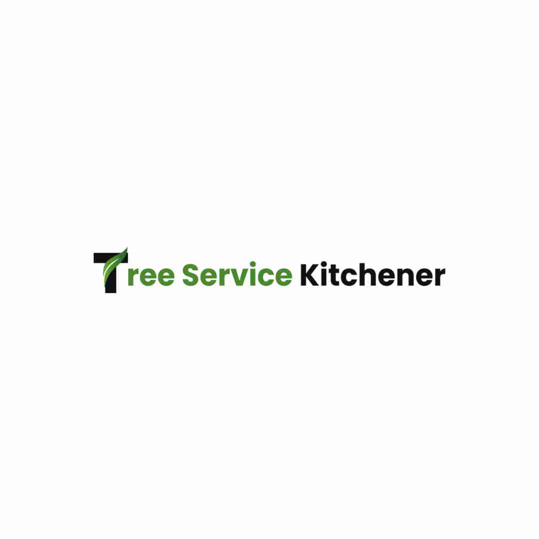 Tree Service Kitchener Profile Picture