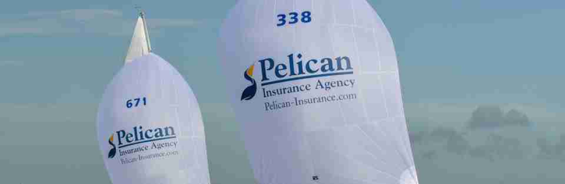 Pelican Insurance Cover Image