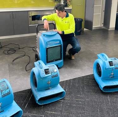 Best Carpet Water Damage Melbourne service to reduce mould growth - Local Home Service Pros Article By Capital Restoration Cleaning