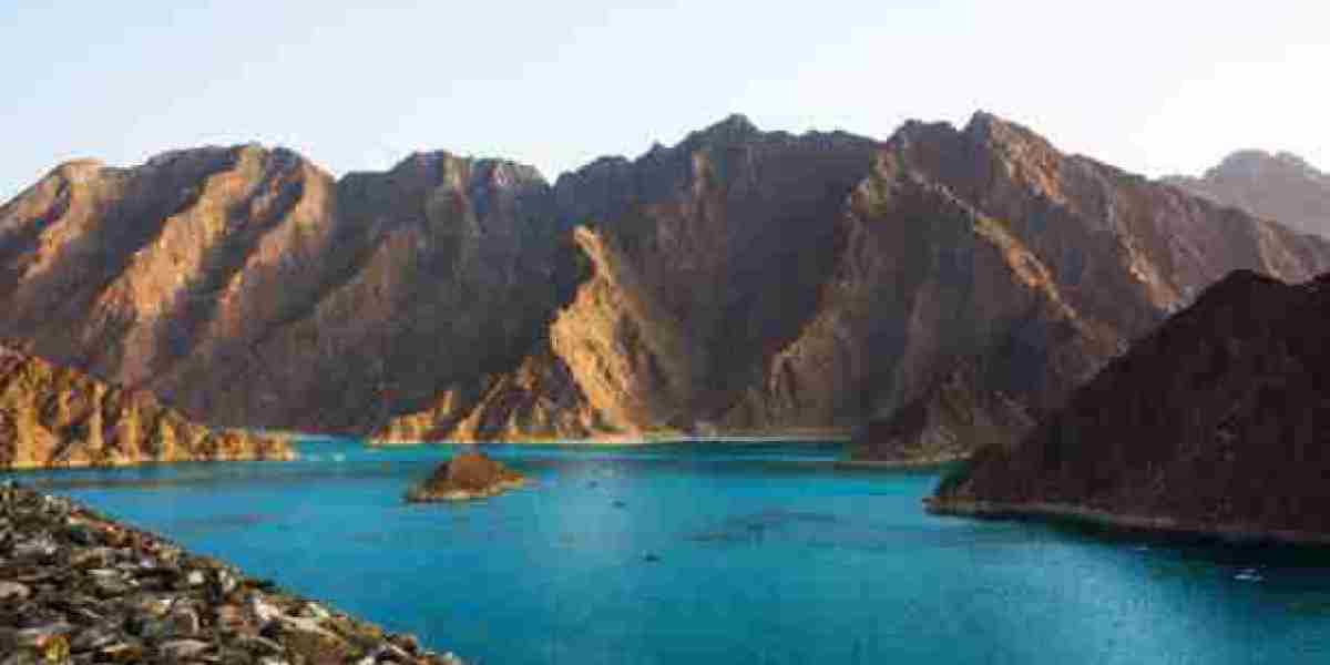 Top 5 Must See Natural Attractions in Dubai for Nature Lovers