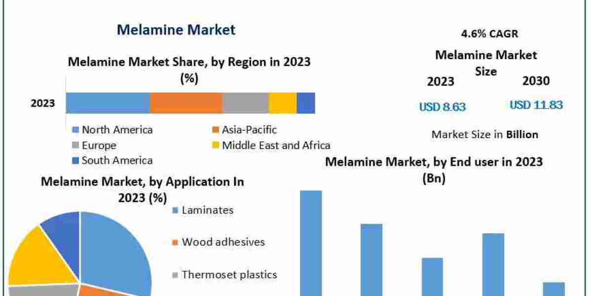 Melamine Market Metrics Magic: Segmentation, Outlook, and Overview Trends | 2024-2030