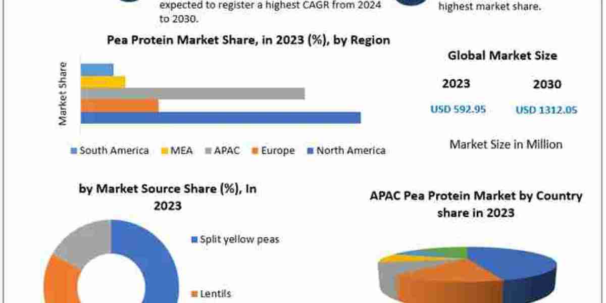 Pea Protein Market Business Sector Evaluation, Scale, Key Growth Drivers, and Forecast 2030