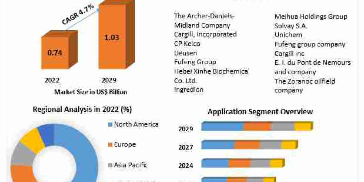 Xanthan Gum Market Growth: From $0.74B in 2022 to Higher