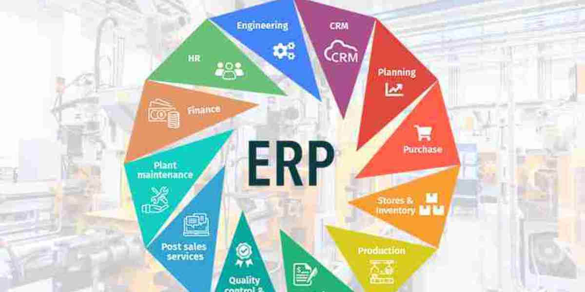 Why ERP Software is Key to Modern Business Success