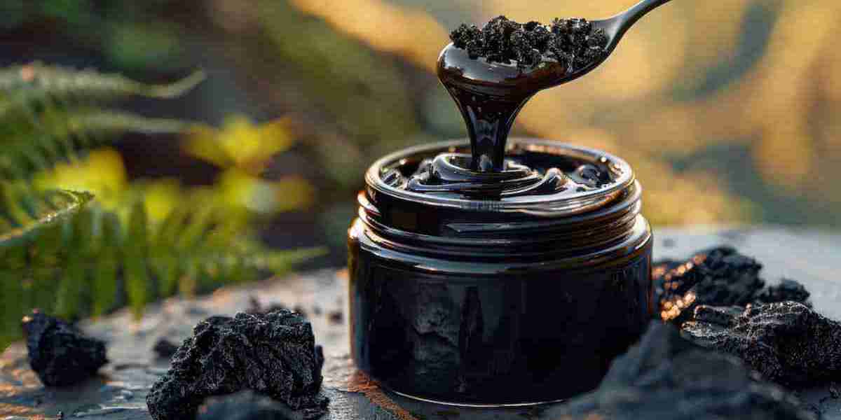 Nature's Secret to Increasing Your Health & Well-Being Himalayan Shilajit