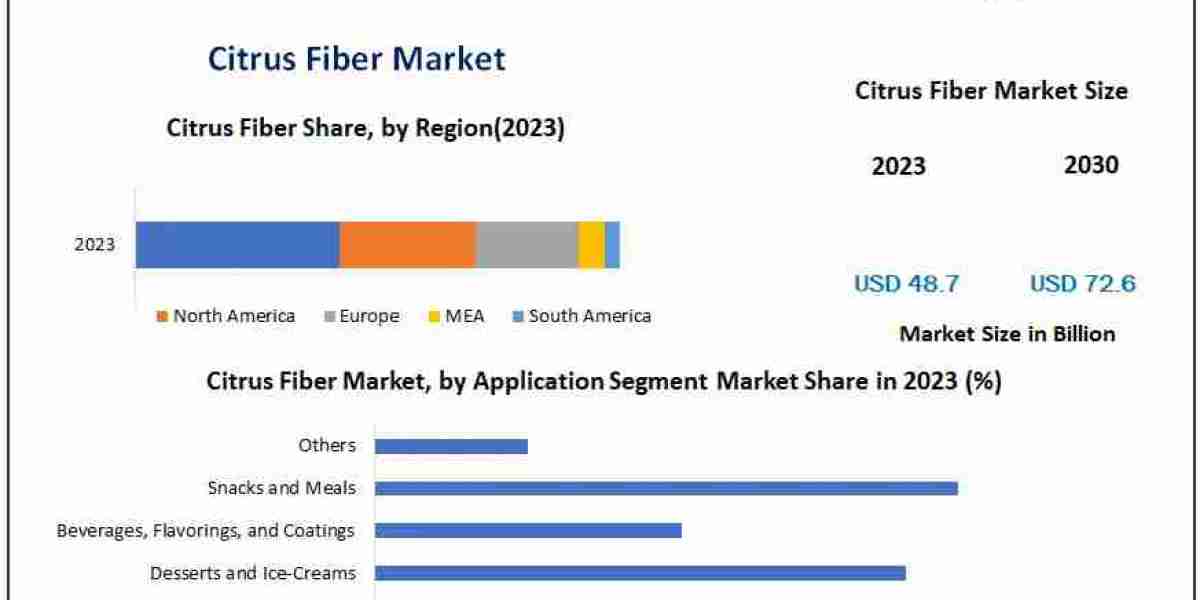 Citrus Fiber Market Size Segments and Growth Research Strategies 2030