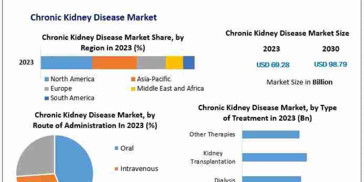 Chronic Kidney Disease Market 2030 Vision: Industry Outlook, Size, and Forecasting the Future