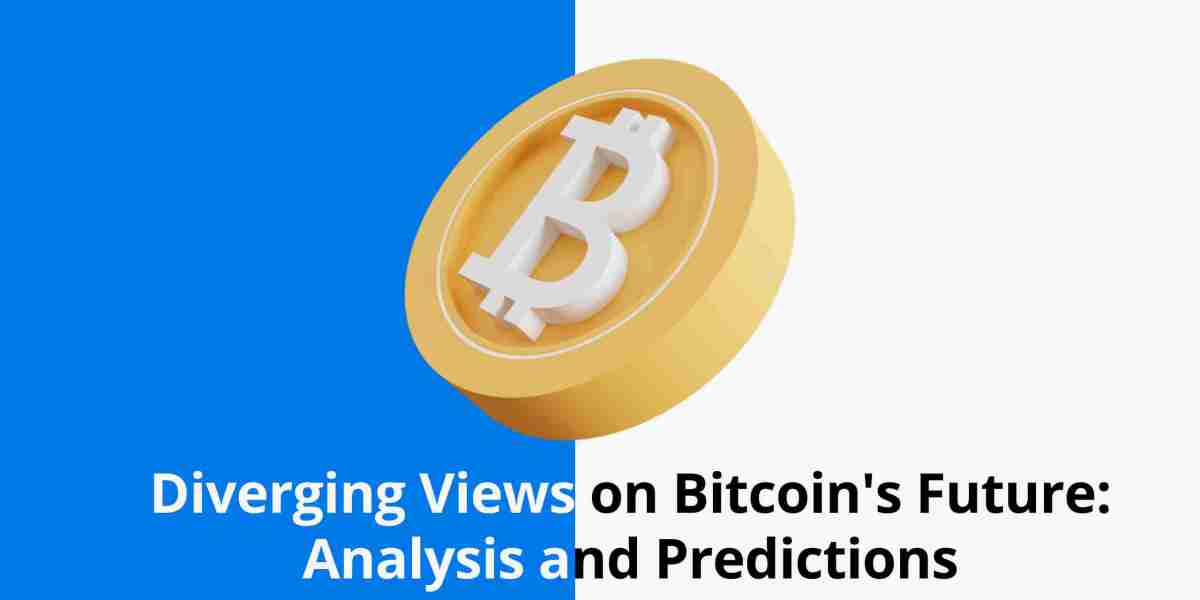 Diverging Views on Bitcoin's Future: Analysis and Predictions