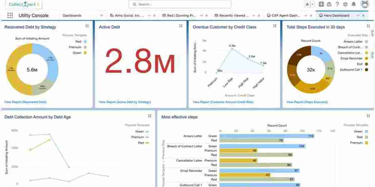 Enhancing Efficiency with Data-Driven Collections Strategies