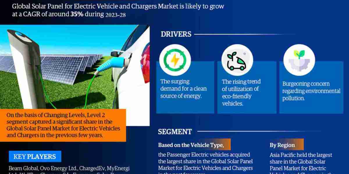 Global Solar Panel for Electric Vehicle and Chargers Market Insights: Evaluating USD Value and Forecast market Trends 20