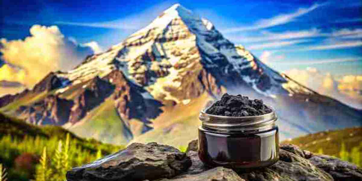 Nature's Secret to Increasing Your Health & Well-Being Himalayan Shilajit