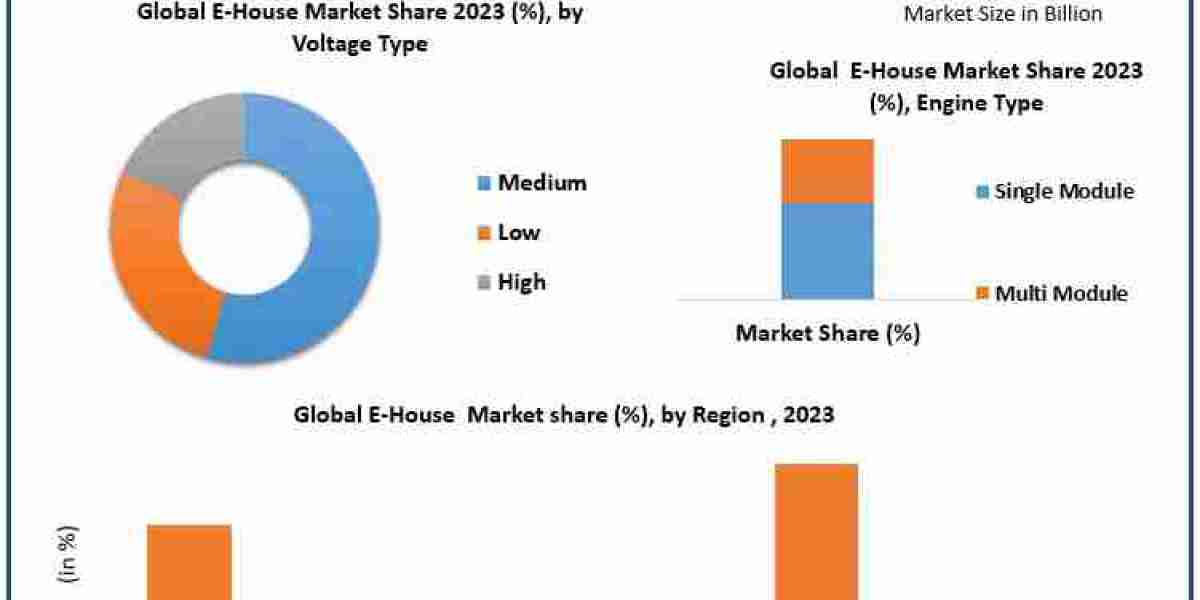 E-House Market Sector Report, Scale, Primary Influences, and Projected Trends